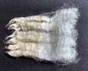 Tahiti 2025 Fleece : Tahiti 2025