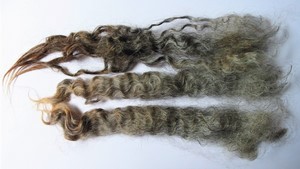 Snoopy 2025 Fleece : Snoopy 2025