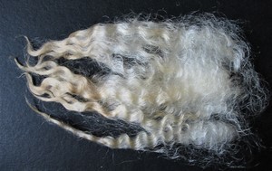 Snubby 2025 Fleece : Snubby 2025