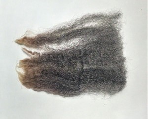 Angelica 2025 Fleece : Angelica 2025