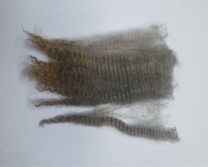 Violet 2025 Fleece : Violet 2025