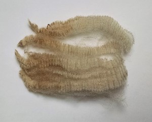 Carmel 2025 Fleece : Carmel 2025