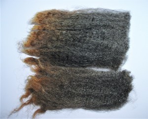 Mickey 2025 Fleece : Mickey 2025