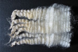 Arthur 2025 Fleece : Arthur 2025