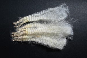 Peppermint Patty 2025 Fleece : Peppermint Patty 2025