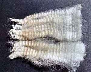 Daisy 2025 Fleece : Daisy 2025