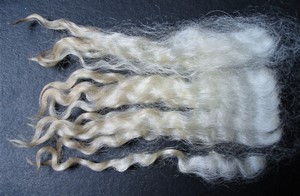 Merry 2025 Fleece : Merry 2025