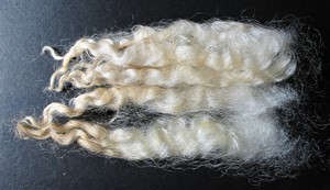 Nugget 2025 Fleece : Nugget 2025