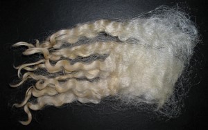 Nora 2025 Fleece : Nora 2025