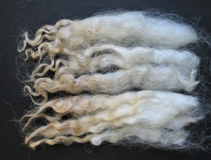 Nancy 2025 Fleece : Nancy 2025