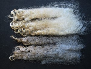 Ophelia 2025 Fleece : Ophelia 2025