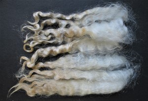 Philomena 2025 Fleece : Philomena 2025