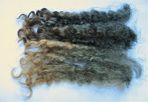 Penny 2025 Fleece : Penny 2025