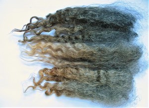 Sophie 2025 Fleece : Sophie 2025