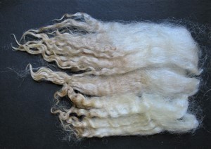 Padme 2025 Fleece : Padme 2025