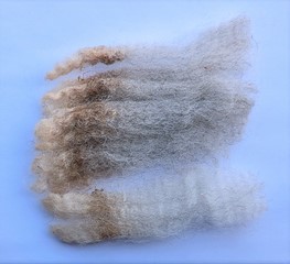 Brick 2025 Fleece : Brick 2025