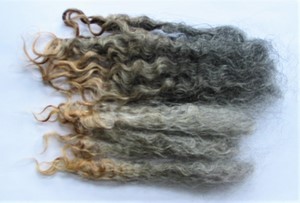 Poppy 2025 Fleece : Poppy 2025