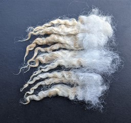 Olivia 2025 Fleece : Olivia 2025