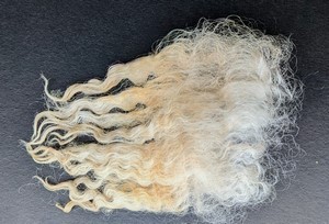 Flopsy 2025 Fleece : Flopsy 2025