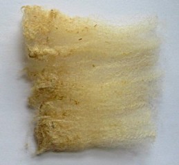 Bacardi 2025 Fleece : Bacardi 2025