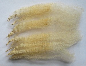 Copper 2025 Fleece : Copper 2025