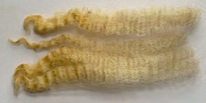 Teddy 2025 Fleece : Teddy 2025