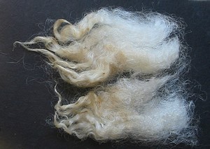 Mercy 2025 Fleece : Mercy 2025