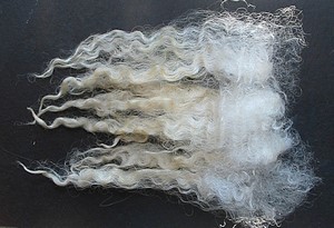 Piper 2025 Fleece : Piper 2025