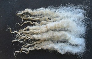 Petra 2025 Fleece : Petra 2025