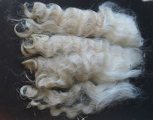 Peony 2025 Fleece : Peony 2025