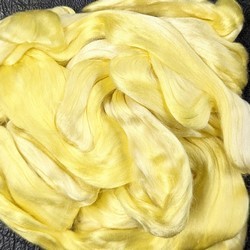 silk : Daffodil