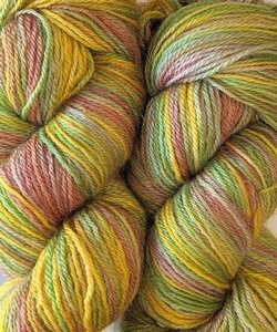 Costswald Yarn : Dye Garden